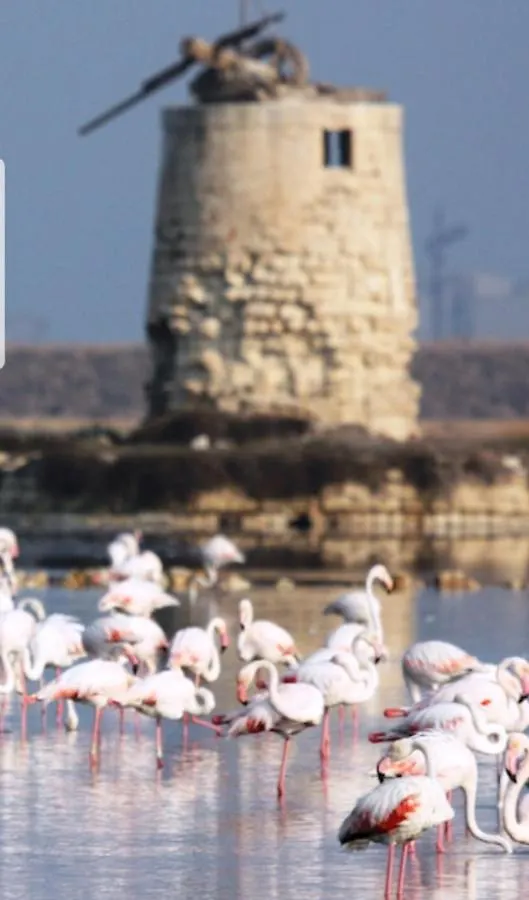 Homestay Appartamento Della Letizia Marsala Italy